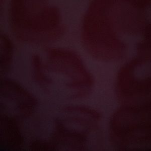 Meet your Posher, Cheyenne